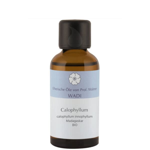 WADI Calophyllum bio 30 ml - Hautpflegeöl